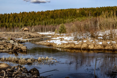 Scenic view of lake in forest against sky