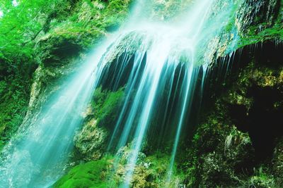 Scenic view of waterfall in forest
