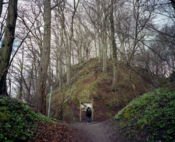 Rear view of man standing amidst bare trees in forest