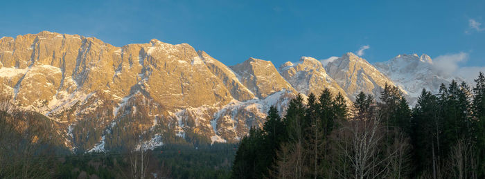 Panoramic view of plants and rocks against sky