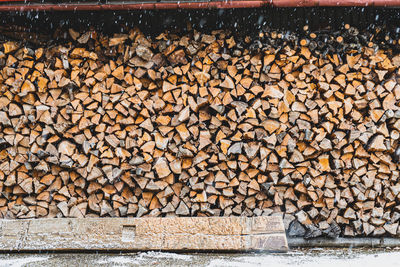 Full frame shot of logs in forest