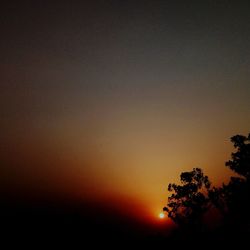 Low angle view of silhouette trees against orange sky