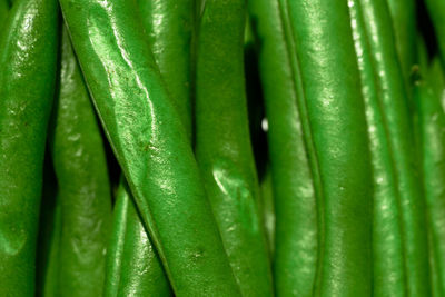 Full frame shot of green beans