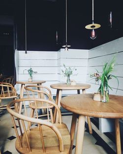 Potted plants on tables in cafe