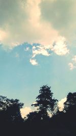 Low angle view of silhouette trees against sky