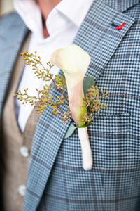 Close-up of hand holding flowering plant