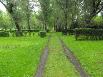 Footpath passing through grassy field