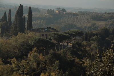 High angle view of trees and buildings against sky