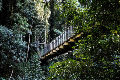 Footbridge over river in forest