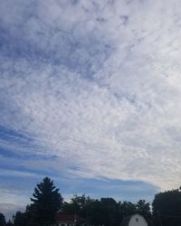 Low angle view of trees against cloudy sky