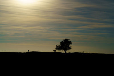 Silhouette trees on field against sky at sunset