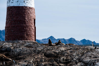 Low angle view of rocks against clear sky