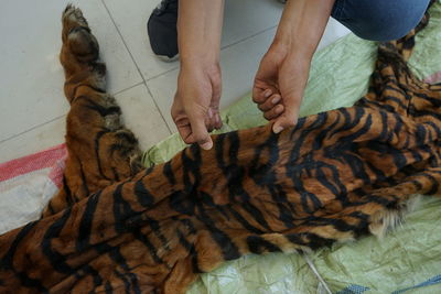 High angle view of hand by cat