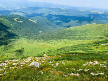 Scenic view of landscape and mountains