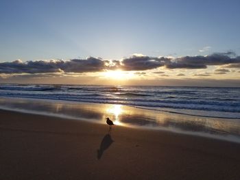 Scenic view of beach against sky during sunset