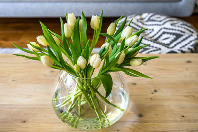 Tulips in living room 4