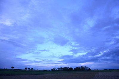 Scenic view of field against blue sky