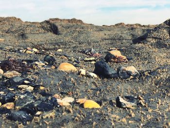 Surface level of rocks on land against sky