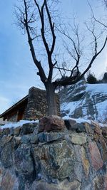 Low angle view of bare tree by rocks against sky