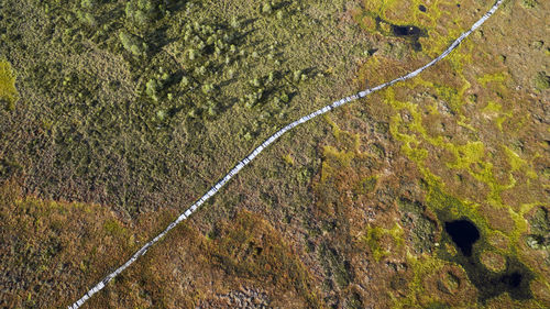 Birds eye view of the bog