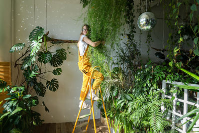 Full length of woman standing on ladder holding plants