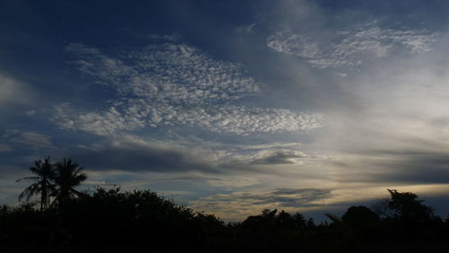 Silhouette of trees against cloudy sky