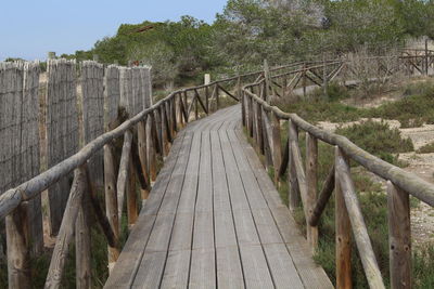 Boardwalk amidst trees against sky