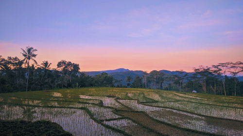 Scenic view of field against sky during sunset