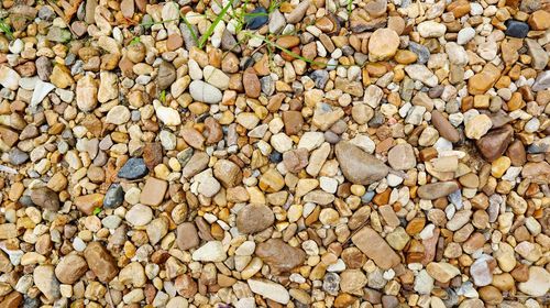 Full frame shot of pebbles