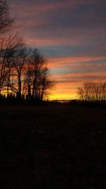 Silhouette of trees at sunset