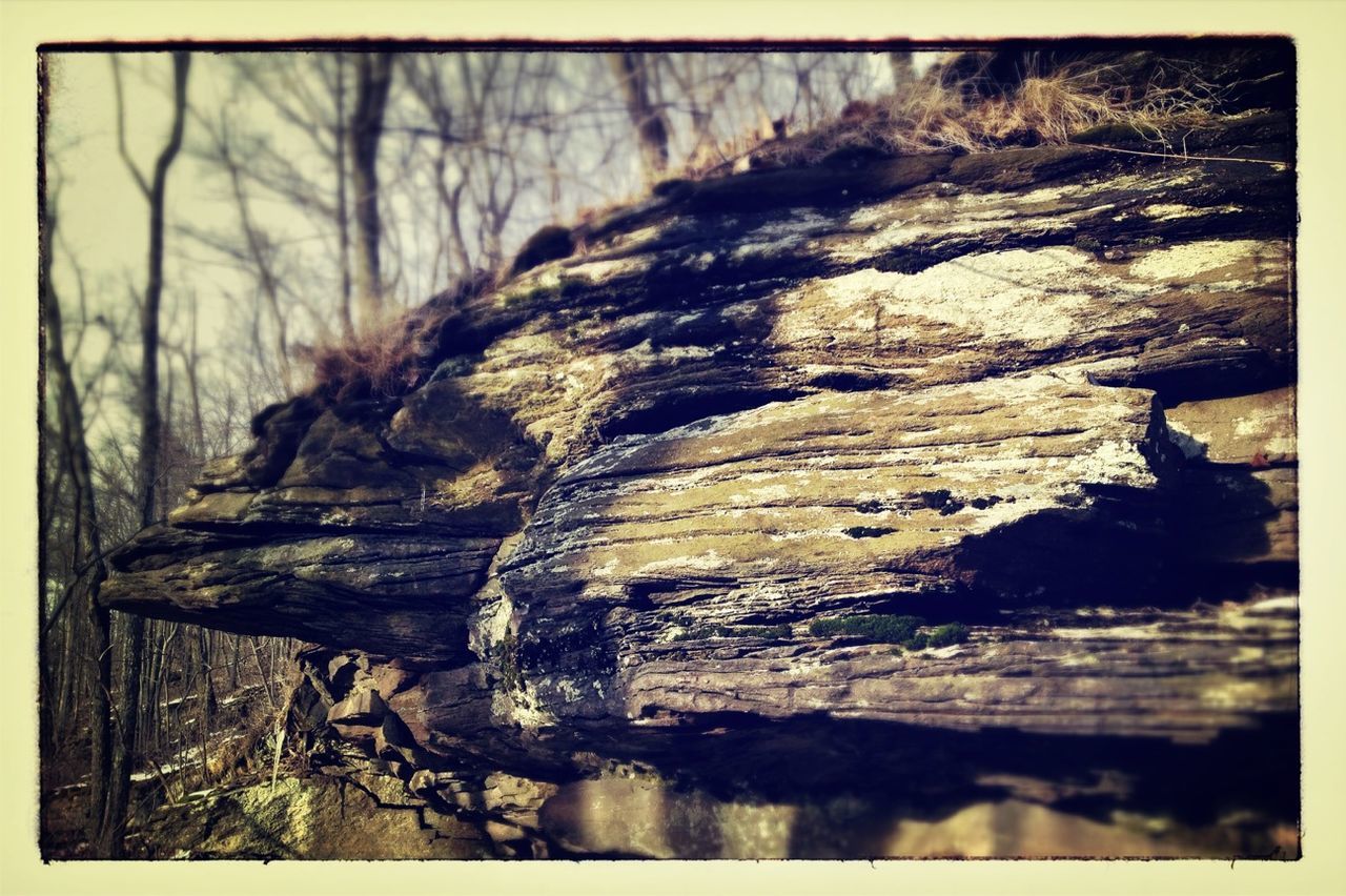 transfer print, tree trunk, auto post production filter, textured, tree, rough, nature, rock - object, rock formation, wood - material, tranquility, rock, outdoors, forest, beauty in nature, close-up, day, natural pattern, no people, tranquil scene