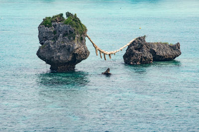 View of crab on rock by sea