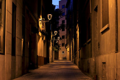 Alley amidst buildings in city