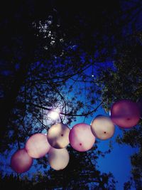 Low angle view of fruits on tree against blue sky