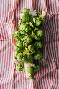 High angle view of vegetables