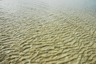 Full frame shot of sea shore