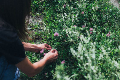 Midsection of man with flower petals on field