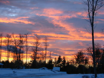 Silhouette bare trees against dramatic sky during sunset