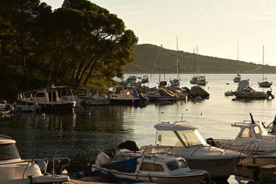 Boats in sea