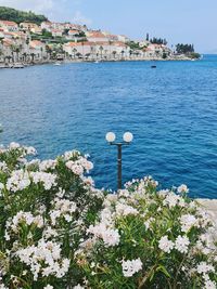 Scenic view of sea by buildings in town