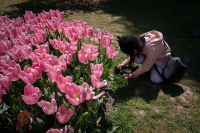 Rear view of woman picking flowers