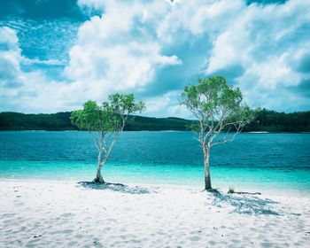 Scenic view of trees by a lake against sky