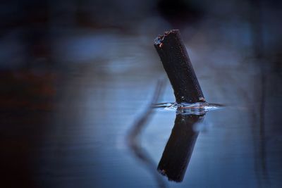 Close-up of metallic structure in lake