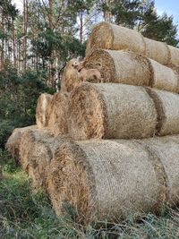 Hay bales on field