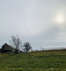 Scenic view of grassy field against sky