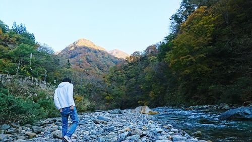 Rear view of man standing by river in forest against clear sky