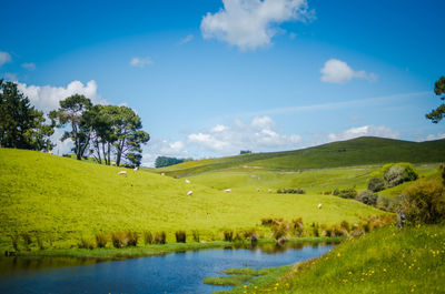 Scenic view of landscape against sky