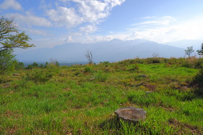 Scenic view of field against sky