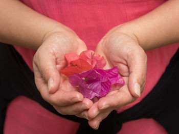 Close-up of woman holding pink flowers