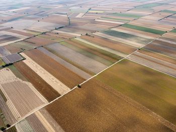 High angle view of agricultural field